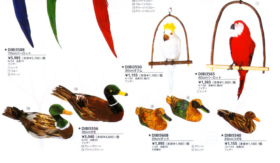 装飾材料のバード・鳥画像